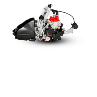 Rotax komplet motorer