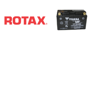 Rotax Elsystem