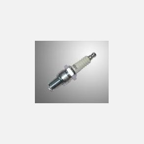 Tndrr NGK B10EG