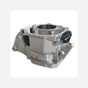 Rotax Cylinder MAX - Senior, 3D