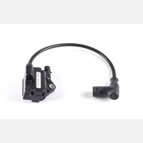 T�ndspole Rotax EVO