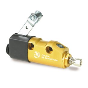 Hovedcylinder Gold, Guld