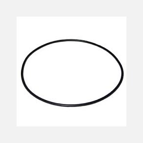 O-Ring Cylinder 64x2