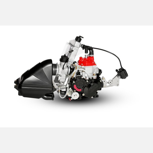 Rotax Motor 125 JUNIOR MAX EVO