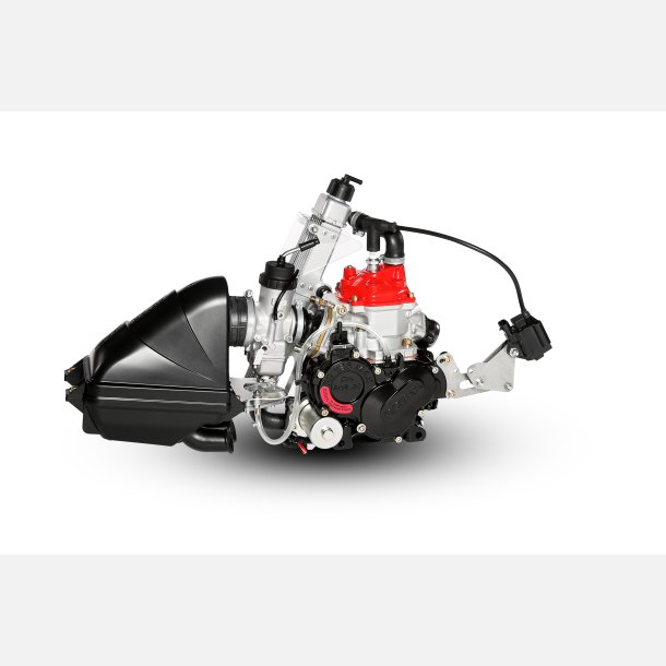 Rotax Motor 125 MICRO MAX EVO