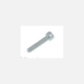 Bolt til bremseklodser BS2 M5x30