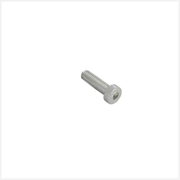 Cylinderbolt M&amp; x 20 mm med mindre hoved