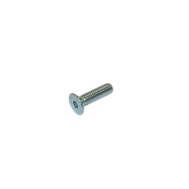 Undersnket Bolt M8 x 25 MM